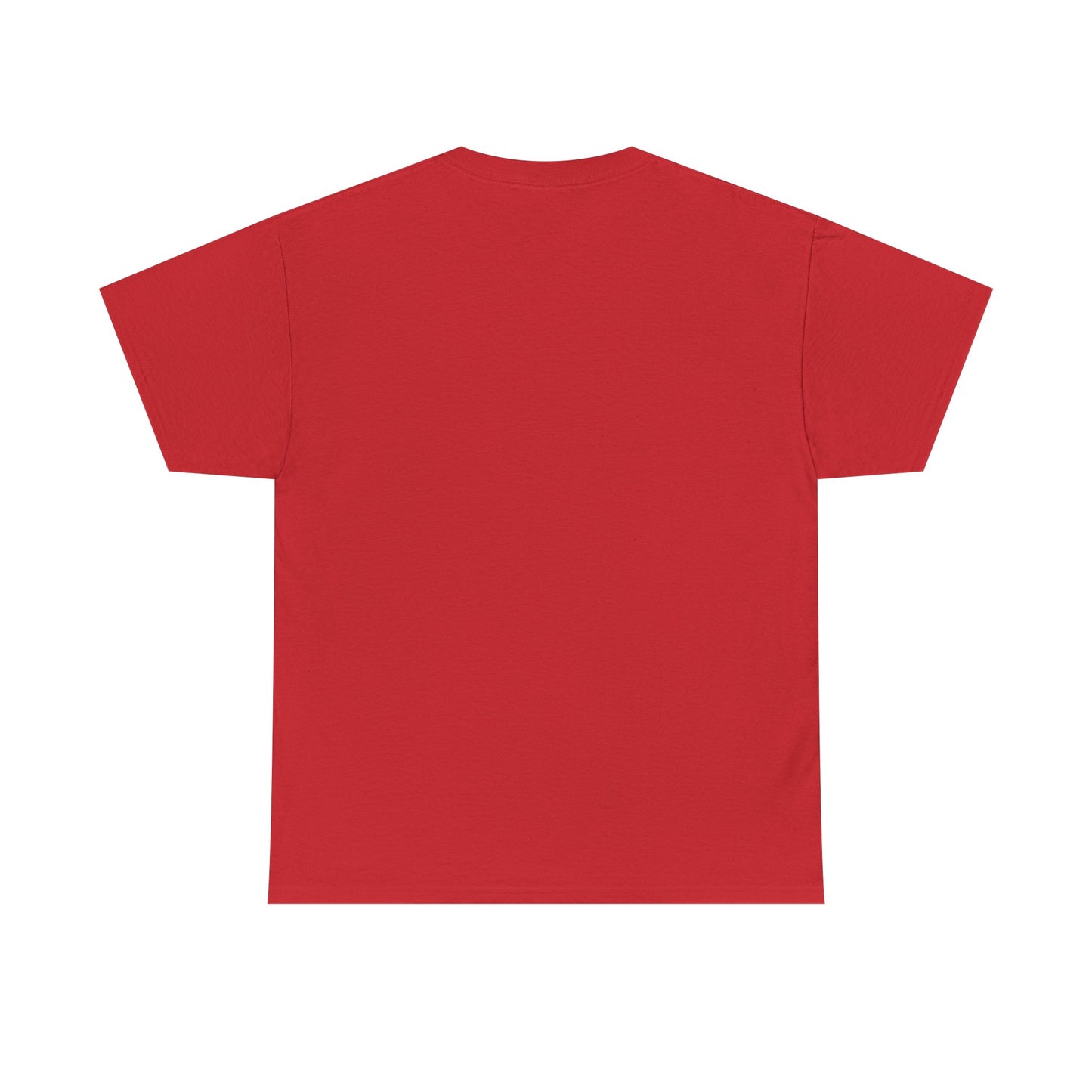 Apache Flink Unisex Tee Shirt - Programmer Coding Gift Ideas