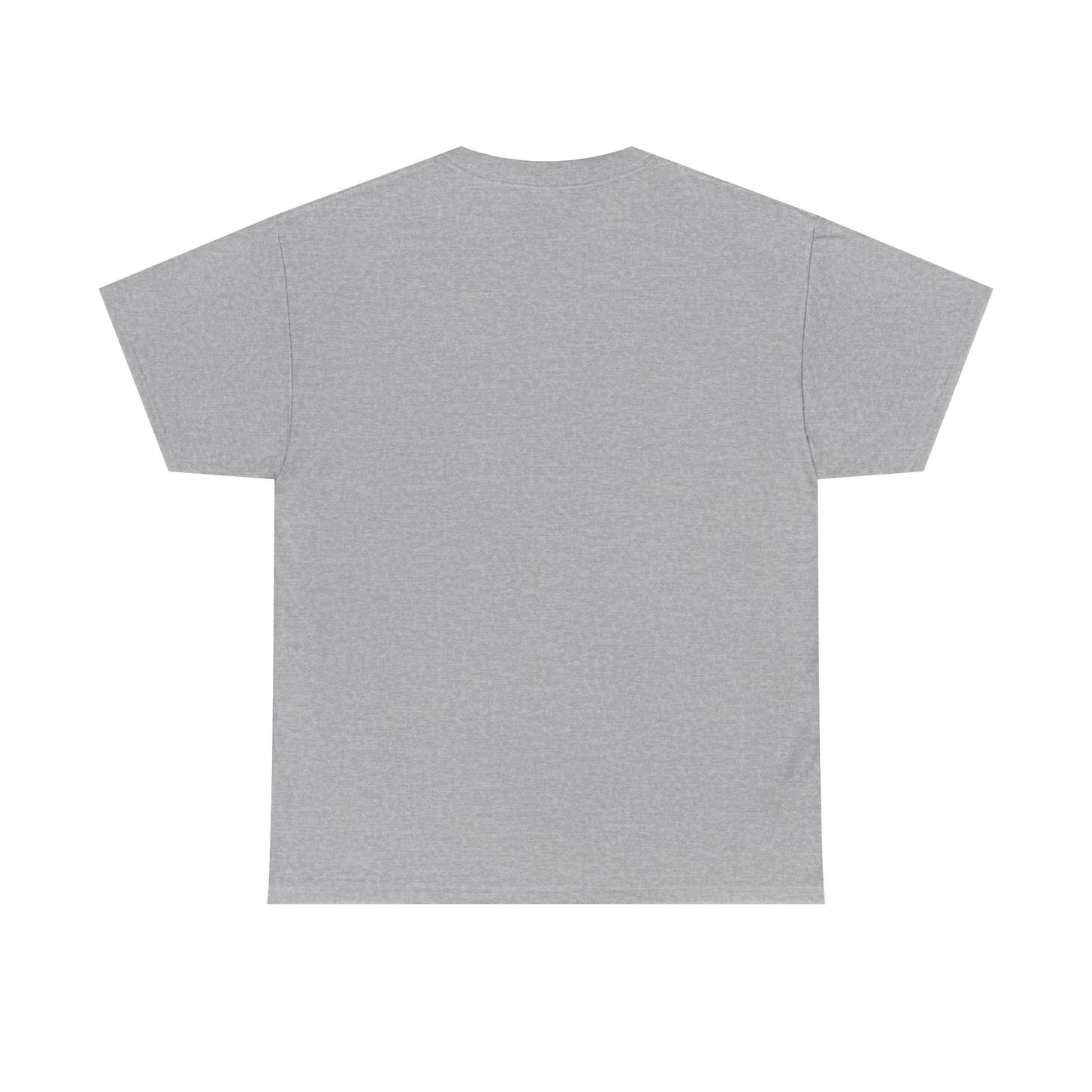 Apache Flink Unisex Tee Shirt - Programmer Coding Gift Ideas
