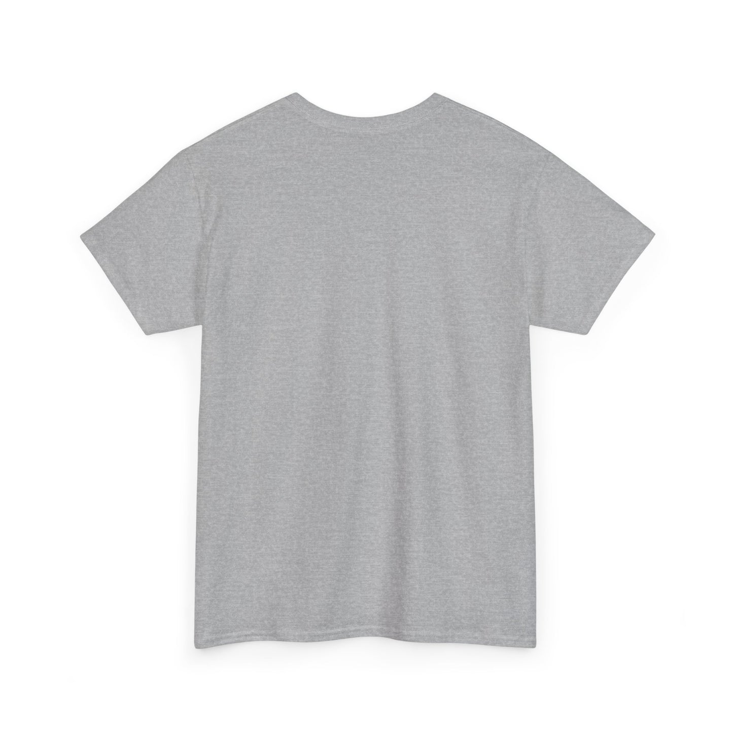 Apache Flink Unisex Tee Shirt - Programmer Coding Gift Ideas