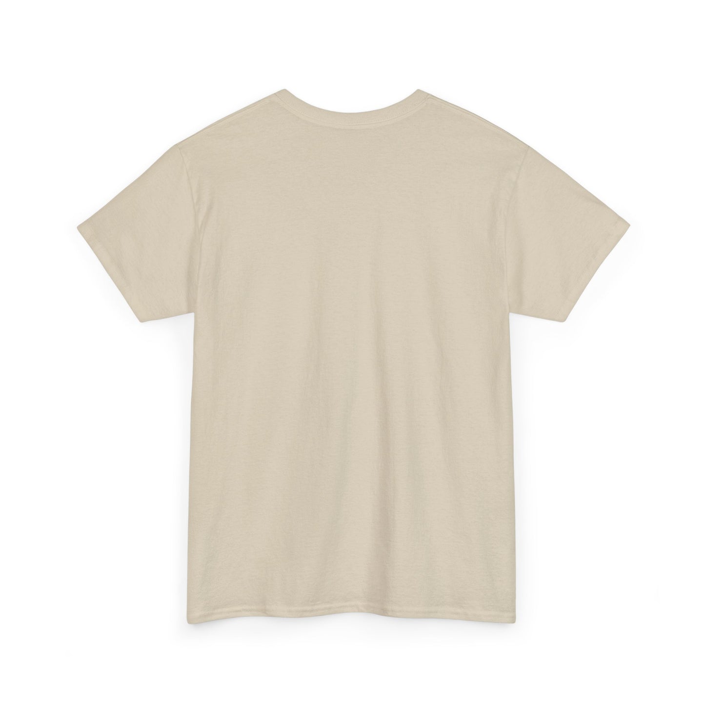 Apache Flink Unisex Tee Shirt - Programmer Coding Gift Ideas