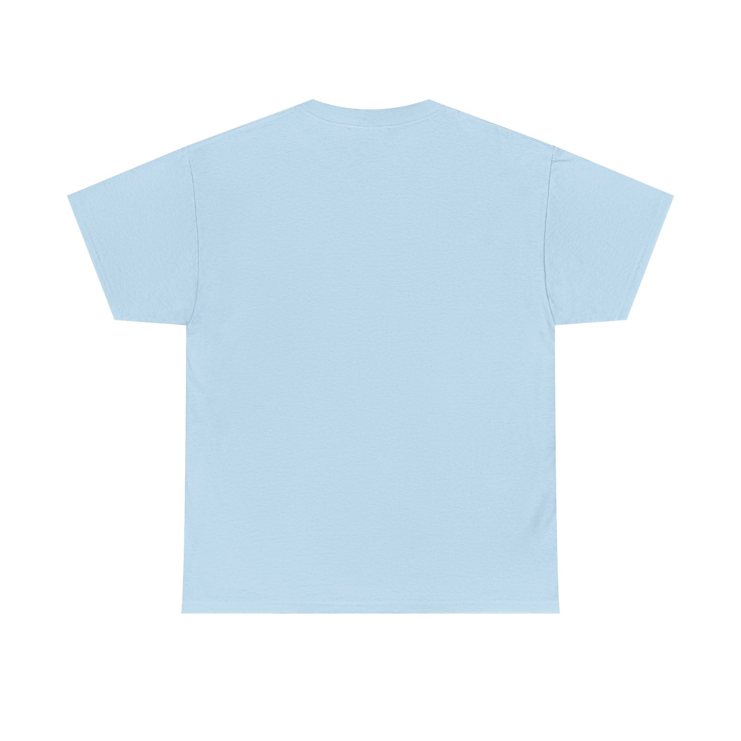 Apache Flink Unisex Tee Shirt - Programmer Coding Gift Ideas